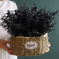 Vine De Eucalipto Artificial Negro Hojas De Eucalipto Decorativas Plásticas Para Decoración De Hogar Fiestas Jardín Propiedades Fotográficas - details 0