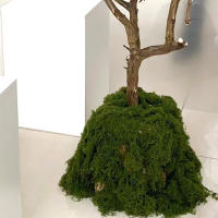 Plantas Artificiales Verdes Alrededor De 20g Poliéster Moqueta Hierba Para Decoración De Hogar Sala De Estar Jardín Mini Paisaje Flores Falsas DIY Artesanía - details 6