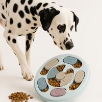 Juguetes Para Mascotas Interactivos Alimentos Lento Platos De Alimentación Para Gatos Y Perros Entrenamiento Cerebral Reducción De La Monotonía - details 2