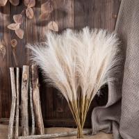 5/10Pcs Pampas Artificial Flor Para Decoración De Hogar Boda Y Jardín Arreglo Floral Falso Planta En Vaso Guirnalda Exterior - details 5