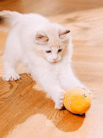 Juguete De Ratón Para Gatos 1PC Saco De Ratón Divertido Con Menta Alta Y Interior De Peluche Para Masticar Y Jugar En El Cuarto De Los Animales De Compañía - details 4