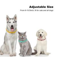 Collar De Silicona Antipérdida Para Gatos Con Portátil De Protección Ajustable Compatible Con Apple Airtag Localizador De Posición - details 4