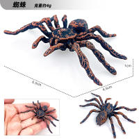 Juego De 12 Figuras De Animales Miniatura Insectos Y Reptiles Educativo Para Niños Juguetes De Halloween Escarabajo Mantis Cicada Lurio - details 13