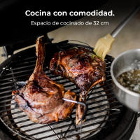 Barbacoa de Carbón Cerámica Cecotec Dragonfire 3200 Kamado 32 cm - details 4