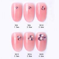 Juego De Uñas Con Decoración Japonesa Transparente Accesorios Para Uñas DIY Mixed Size Bottom Drill Para Decoración De Uñas - details 4