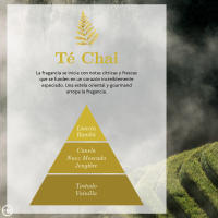 LOTE Ambientadores de hogar Ambar Perfums Té Chai + Vela - details 1
