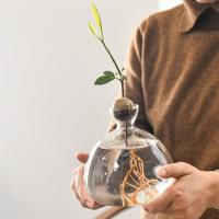 Vaso De Comino Para Cultivo De Semillas Kit De Plantación Con Pegatinas Regalo Para Amantes Del Jardín Material De Vidrio Transparente - details 2