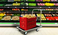 Plataforma Arebos 300 Kg Compacto y Ligero - Carretilla Supermercado con Ruedas Antideslizantes - details 28