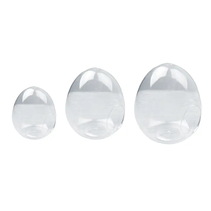 Florero de vidrio suculento de escritorio, globo de vidrio transparente, maceta de vidrio suculenta para mesa, plantador de plantas de aire suculentas - 1