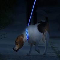 Collar LED Para Perros Y Gatos Recargable Con 3 Modos Collar De Perdida De Mascota Con Luz Nocturna Accesorios Para Mascotas Correa Básica De Nylon - details 3