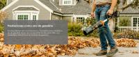 Worx WG585E.9 Soplador a batería LeafJet de 40V con motor 'Brushless' (baterías y cargador no incluidos) - details 7