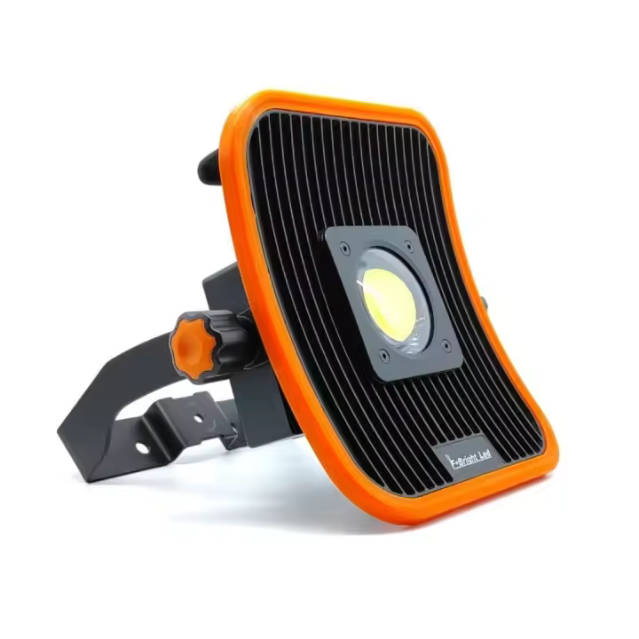 Foco Proyector Led de Trabajo Recargable con USB IP54 30W 6500K, 5mts cable 3 X 1,5 mm y cargador 12 V F BRIGHT - 1