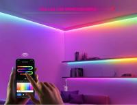 Tira De LED RGBIC Tuya Smart WIFI Flexible 12V IC Addressable WS2811 Para Alexa Google Control Por APP Luz Neón RGB Para El Hogar - details 0