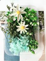 Paquete De Materiales Para Manualidades Con Flores Secas DIY Artesanía Artificial Para Decoración De Bodas Y Fiestas Cursos De Arte Flor Eterna - details 11