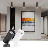SpotLight LED 220V Luz De Punto COB Fijación En Techo Farol Plegable Fixture Luz De Banda Para Iluminación Interior Cocina Hogar - details 9