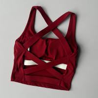 Women Sports Bra Top Push Up Fitness Yoga Bra Underwear Sport Tops For Women Breathable Running Vest Bralette Gym Wear Female - details 15