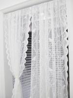 Conjunto De Cortinas De Encaje Transparente Birds En Color Beige Para Sala De Estar Puerta Francesa Estilo Paisajista Ligero - details 1