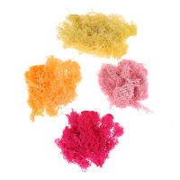 1Pc Moss Artificial De Colores Naturales Para Decoración De Joyería Jardín Y Epoxy Resina Decorativa Para Mesa - details 22