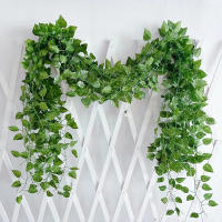 Guirnalda De Hiedra Artificial De Seda 2.1M Para Decoración De Jardín Y Bodas Adorno De Pared Y Vines DIY Hojas Verdes - details 1
