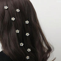 10pcs Accesorios Para El Cabello Con Diseño De Mini Flor Perfectos Para Crear Estilos De Trenzas Y Cuentas Adornadas Para Mujeres - details 1