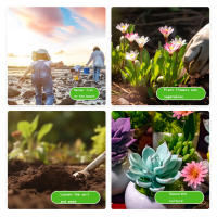 Juego De Jardinería De Cuatro Piezas Con Mango De Goma Negra Y Cincuenta Dientes Herramienta Dual Propósito Shovel Para Flores Y Riego - details 3