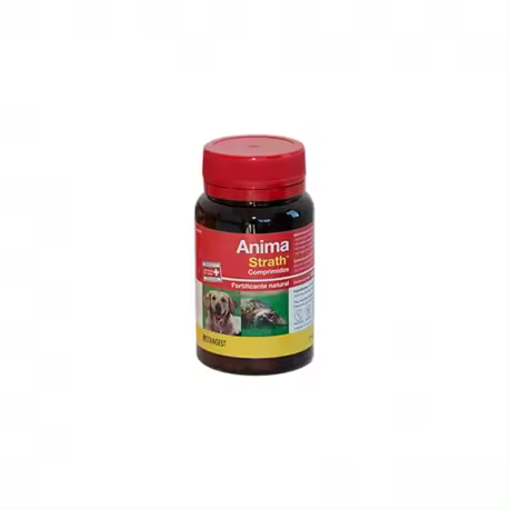 ANIMA STRATH 120 COMP Stangest - 1