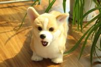 Juguete De Perro Suave De 32CM Muñeco De Peluche Simulación Corgi Juguetes Para Mascotas Animal De Peluche Para Niños - details 0