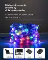Luces LED RGBIC Bluetooth WS2812B Cadena De Luces Faeir Para Fiesta Navidad Boda Decoración Guirnalda Con USB Control Remoto Y Aplicación En Smartphone - details 2