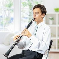 Miwayer Clarinete De Madera Bakelite Profesional Con 17 Teclas Y Viento Musical Instrumento De Viento Tenor Con Caja Y Regalito - details 13