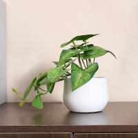 1PC Simulada Planta En Maceta Para Decoración De Oficina Negocios Foyer Jardín Floral Decoración De Hogar Estilo Vínculo - details 2