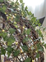 Luces De Vine Artificial De Flores Y Hojas Verdes 2M-10M Con USB/Batería Para Jardín Decoración De Hogar Y Bodas Garland De Fairy Lights - details 4