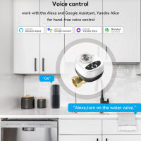 EWeLink Válvula De Agua ZigBee/Wifi Automática Control Remoto Por App IP65 Impermeable Rango De Acción WiFi Intelligent Ballvalve - details 3