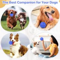 Pelotas chirriantes resistentes para Perros, juegos Interactivos para Perros Pequeños, juegos para Masticar - details 3