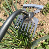 Herramienta De Jardín Aleekit Dual Para Rastrillar Y Sacar Malas Hierbas a Mano Resistentes Y Duraderas Accesorios De Jardinería Para Tierra Suave Regalo Para Amantes Del Jardín - details 5