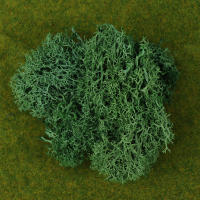 1Pc Moss Artificial De Colores Naturales Para Decoración De Joyería Jardín Y Epoxy Resina Decorativa Para Mesa - details 13