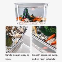 Tanque De Acuario Pequeño Transparente De Plástico Explosión-Resistente Para Plantas Y Pequeños Peces Tanque PET Para El Otoño - details 6