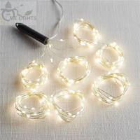 Luces De Cascada LED 600 Individuales Para Decoración De Habitación Y Navidad Luz De Fairy De Enchufe Adorno De Cortina De Navidad Luz De Ambiente Para Dormitorio - details 4