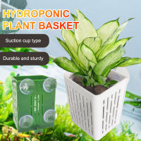 Gancho De Succión Para Acuario Soporte De Planta De Plástico Cesta De Plantación Decoración De Aquascape Pot De Agua - details 1