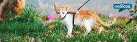Nobleza - Arnés para Gatos con Correa, Ajustable Antiescape Seguridad Arnés para Gatos y Cachorros - details 2