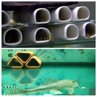Decoración De Acuario Cerámica Para Peces Y Camarones Jaula De Cría Accesorios De Paisaje En Forma De Cilindro Refugio Ornamento Para Tanque De Peces - details 2