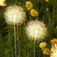 Lámpara Solar De Jardín Con Balón De Hierro Y Remolinos Flor LED Exterior Impermeable Decoración De Noche Para Atrio Artística - details 10