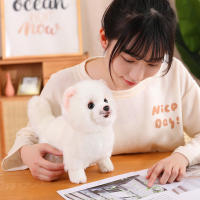 Nueva Premium Peluche Lindo Pomeranian Perro Juguetes Real Vida Muñeco De Peluche Suave Mascota Para Niñas Niños Regalo Encantador - details 11