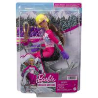 Barbie Paraesquiadora alpina Mattel HCN33 - details 1