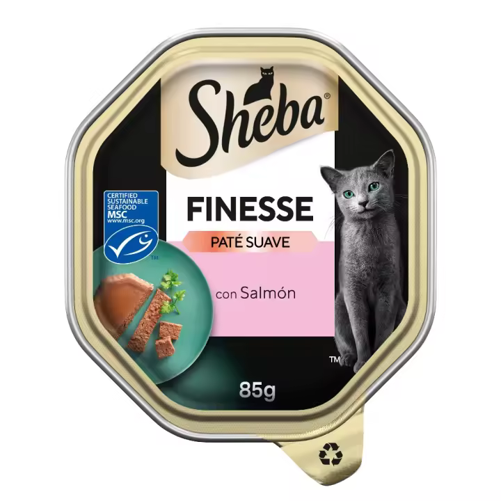 Sheba Finesse - Comida húmeda en paté suave para gatos - (PACK 22 x 85gr.) ¡Delicioso y nutritivo alimento para tu gato! - 1