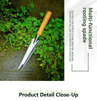 1pc Herramienta De Jardín De Acero Inoxidable Con Mango De Roble Para Malear Sembrar Transplantar Y Excavar - details 6