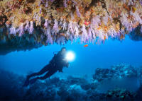 Linterna De Buceo Profesional De Alta Potencia IP68 Impermeable Con Correa De Mano Iluminación LED T6 Recargable 18650 - details 5