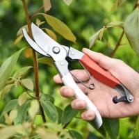 Juego De Herramientas De Jardín 5 Piezas: Shovel Rake Hoz Podaderos - Kit Esencial Para Jardinería - details 5