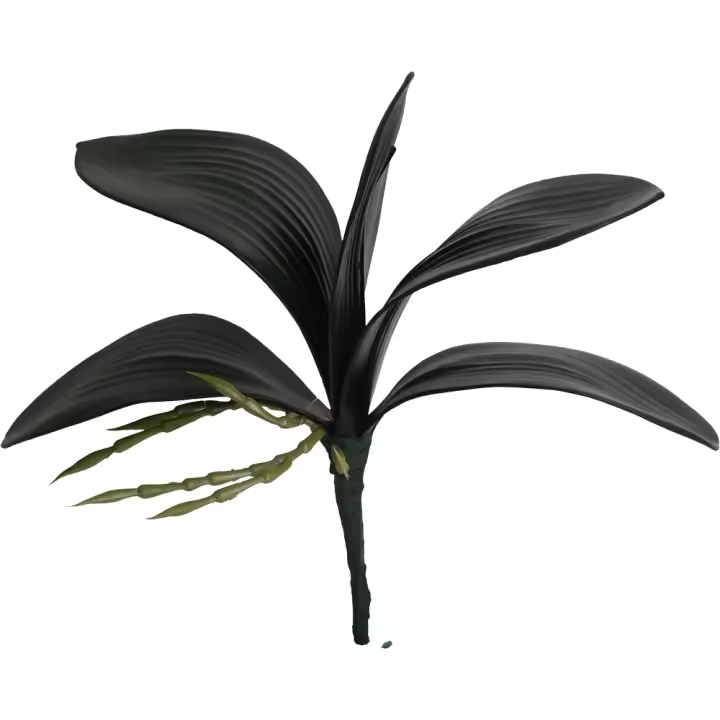 Poenia Arte Floral - Ramo Hojas de Orquídea 23cm 3pcs - 1