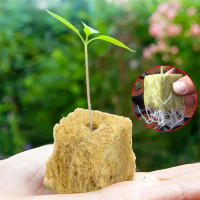 Cubes De Medio De Cultivo De Hidroponía Stonewool Para Semilleros Bloque De Cultivo De Semillas Absorción De Agua 80% Para Cultivo De Plantas - details 1