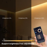Tira De Luces LED COB 24V Tuya Smart Home Neón De Gel De Silicio Control WiFi APP Compatible Con Alexa Y Google Home Decoración De Habitaciones - details 5
